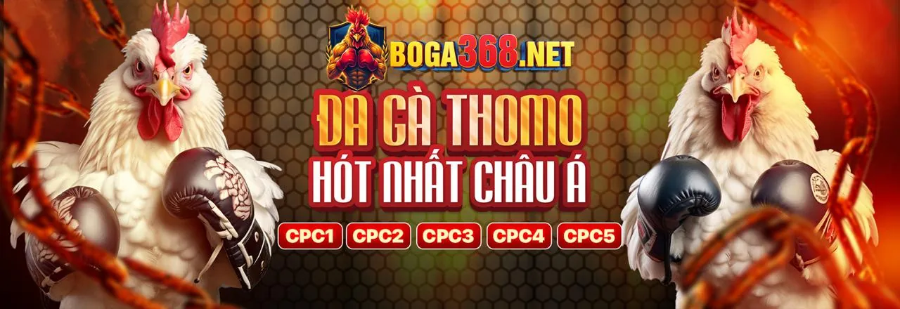 trangbet88 hiện đang mở: Nền tảng cá cược trực tuyến an toàn và hiện đại