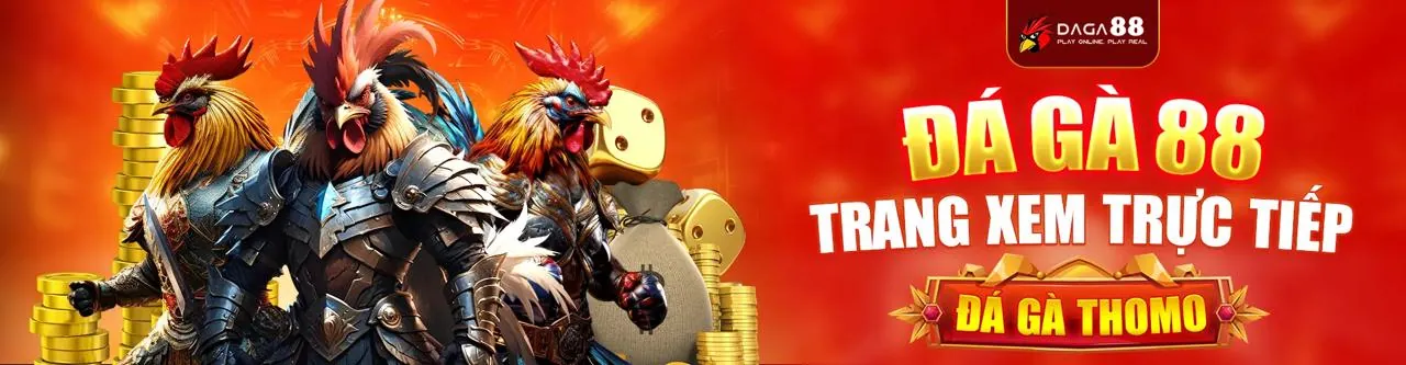 Đá Gà Trực Tuyến Hấp Dẫn tại trangbet88